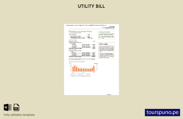 listo para imprimir factura de servicios públicos PSEG de Nueva York de EE. UU 1